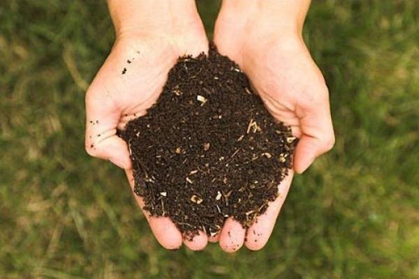 Van schoon gft wordt compost gemaakt.